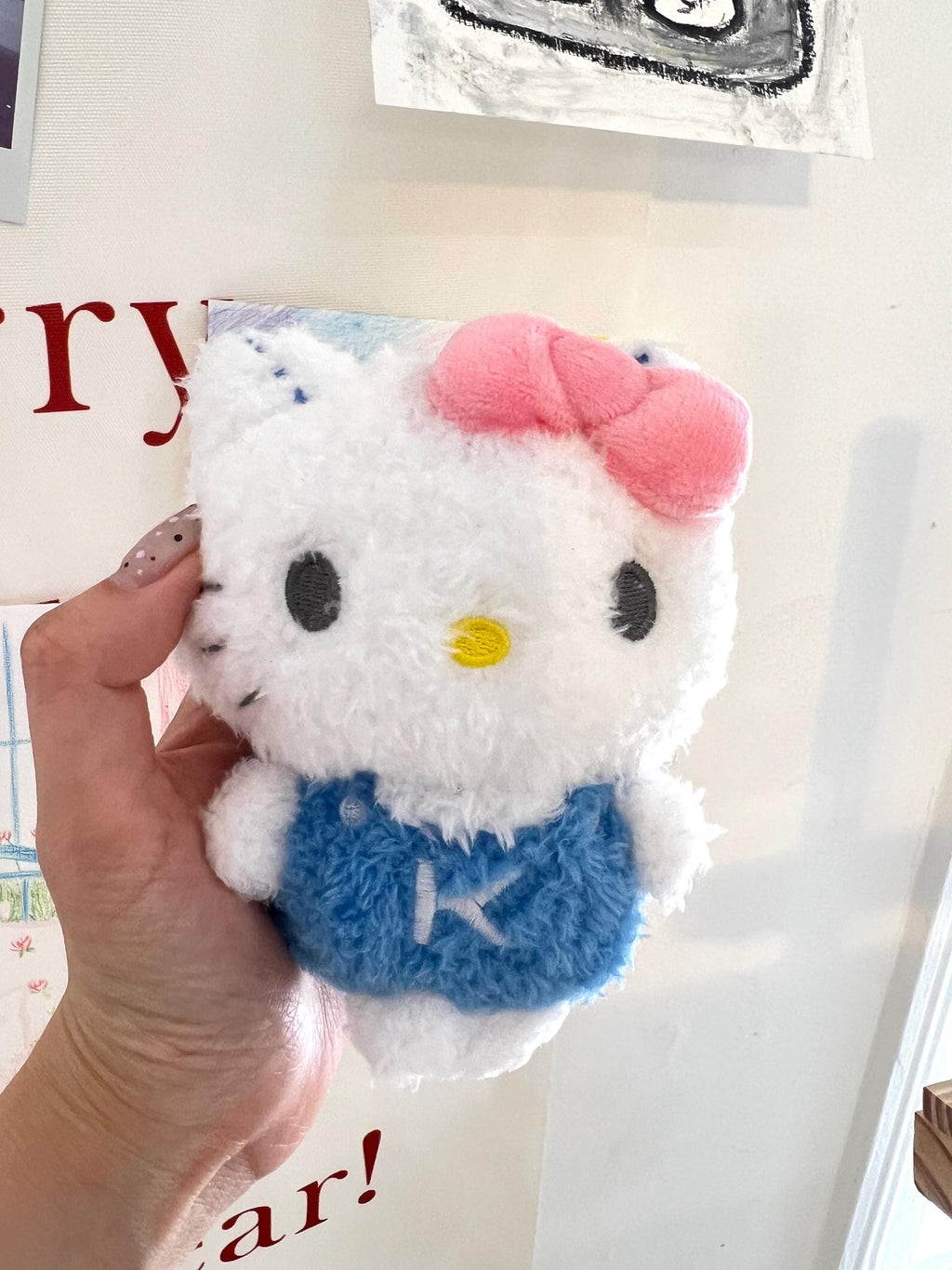 Limited Sanrio Keyring's